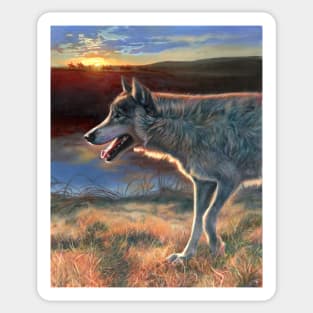 Two Socks - Dances with Wolves Sticker